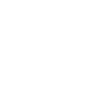 01 artemis