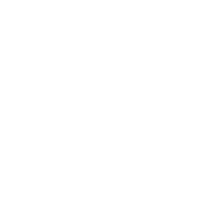 04 Carrot-logo