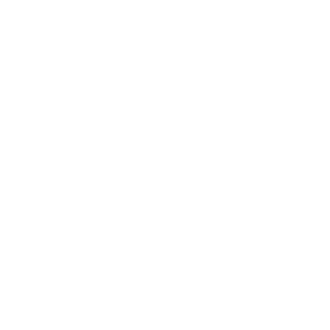 09 form