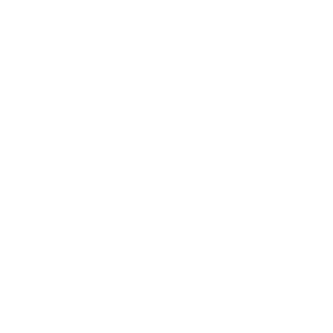 11 HDMS