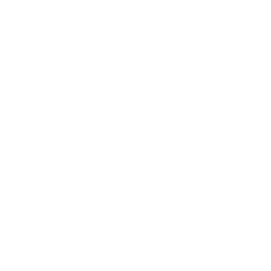12 Included_Logo