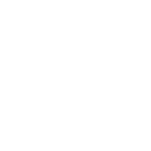 13 Joshin