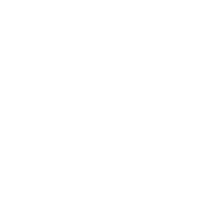26 regenexx-logo 1