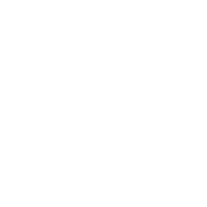 38 wheel